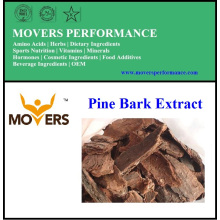 Alta qualidade Natural fornecimento Pine Bark Extract